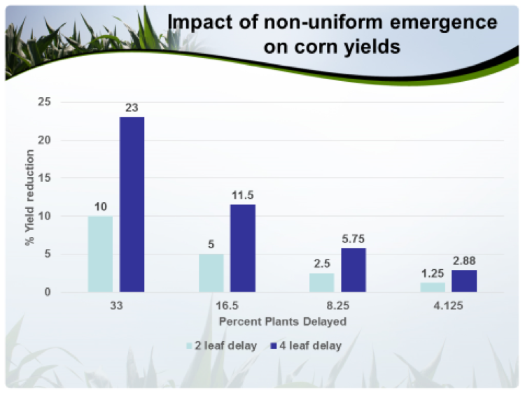 uniform emergence graphpng